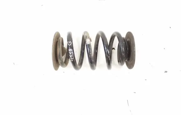 BMW X3 E83 Rear coil spring