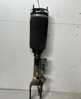 Mercedes-Benz R AMG W251 Front shock absorber/damper 15140009713 0971300801117260