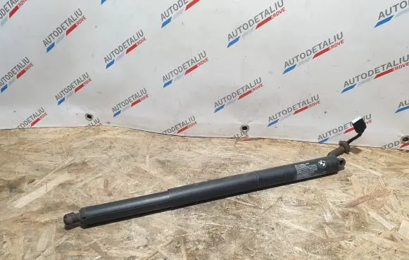 BMW 2 F45 Tailgate/trunk strut/damper 7348523 51247348523