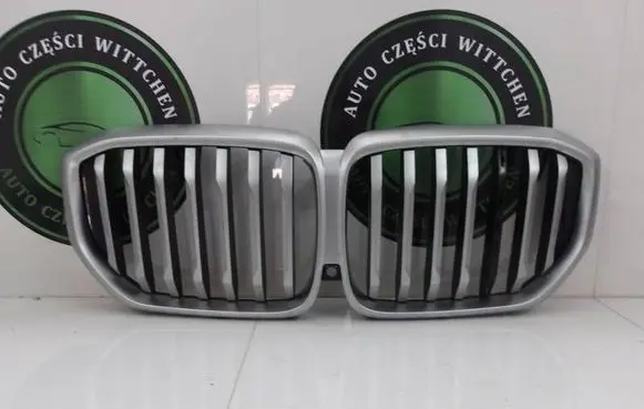 BMW X5M G05 F95 Front grill 21454110