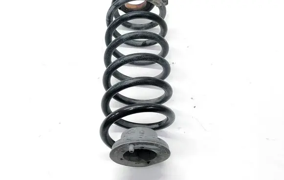 Rear coil spring