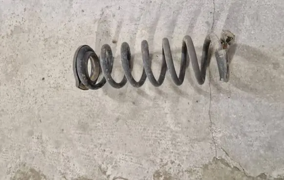 Rear coil spring