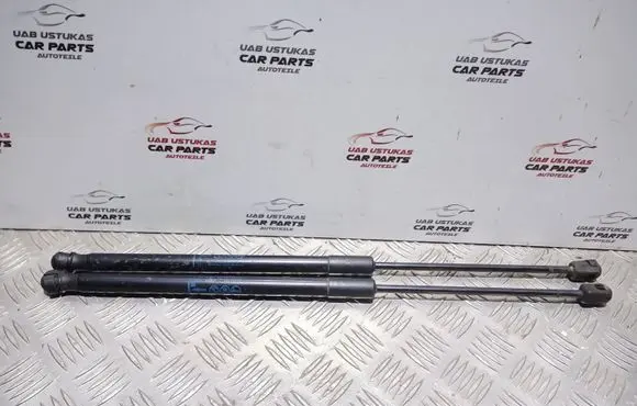 Opel Astra J Tailgate/trunk strut/damper 13284105 315005777