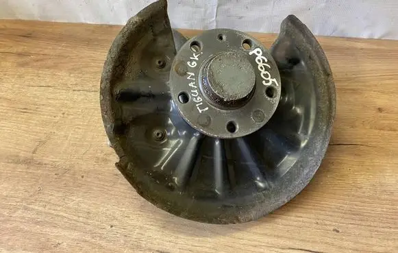 Volkswagen Tiguan Rear wheel hub