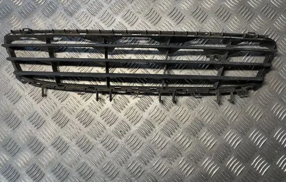 Front bumper lower grill