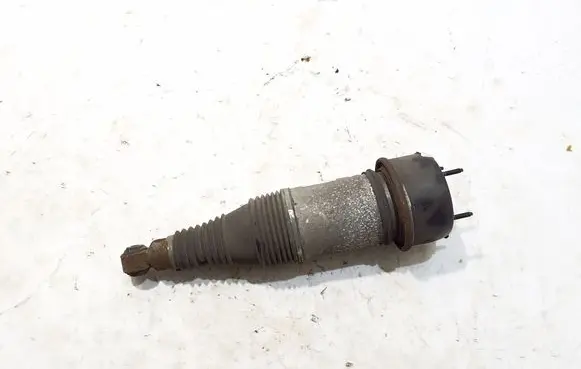 Rear shock absorber/damper