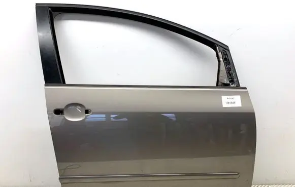 Volkswagen Golf Plus Front door LA8X