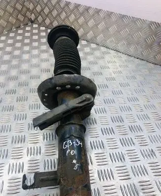 Opel Insignia A Front shock absorber/damper