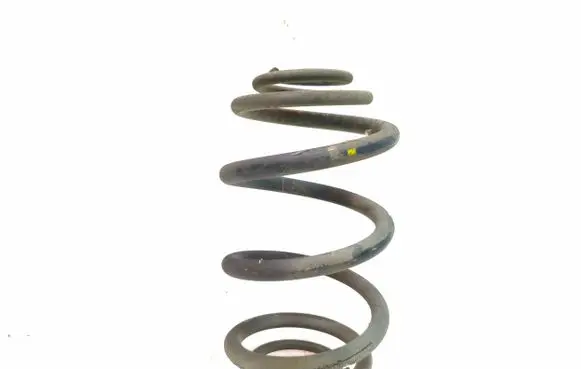 Renault Trafic III (X82) Rear coil spring