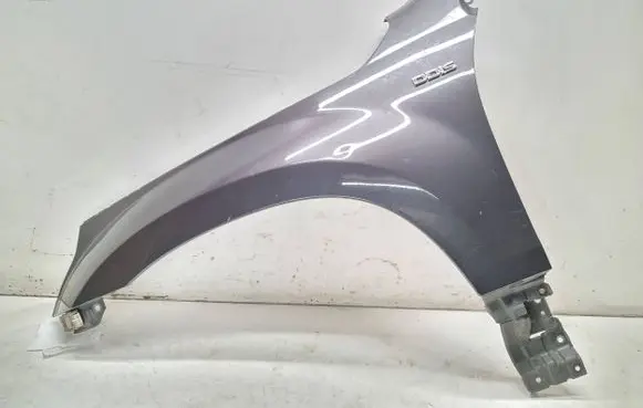 Suzuki Grand Vitara II Fender