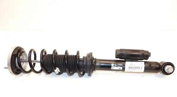 Rear shock absorber/damper