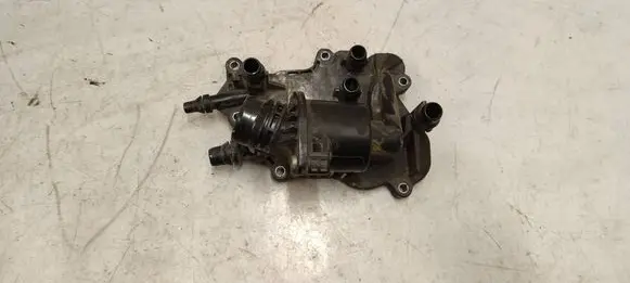 Thermostat/thermostat housing