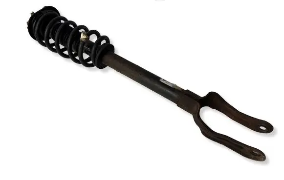 Dodge Durango Front shock absorber with coil spring 68029501AE 55553E 1A14973A