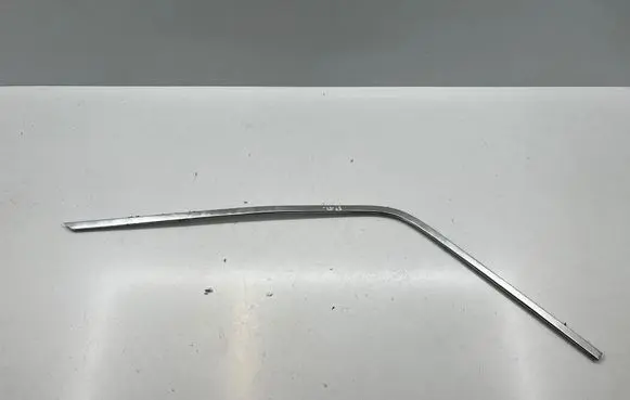 Mercedes-Benz W123 Front door trim (molding)