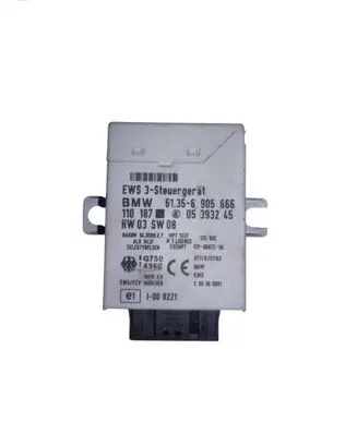 BMW 5 E39 Immobilizer control unit/module 61356905666 110187