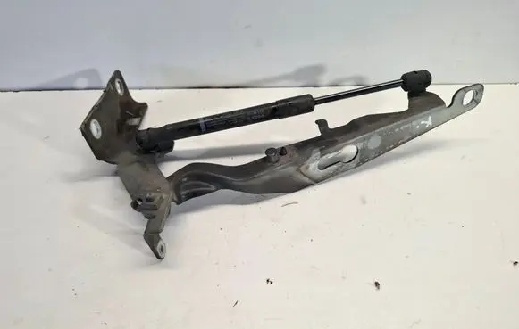 Engine bonnet/hood hinges