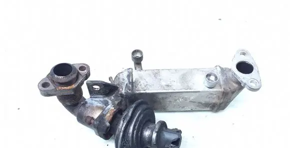 BMW 3 E90 E91 EGR valve cooler 7800653