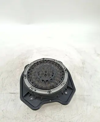 Citroen C4 I Picasso Front door speaker 9664955980