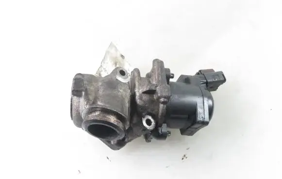 Peugeot Partner EGR valve 138481