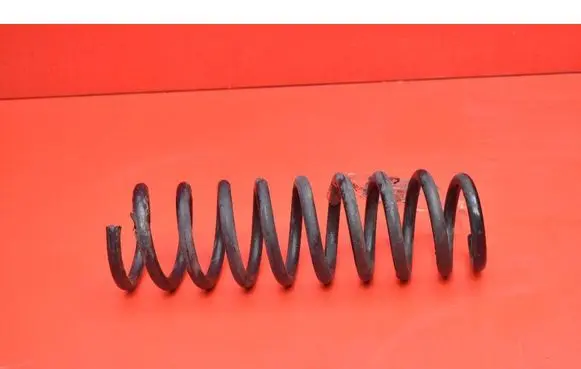 Rear coil spring