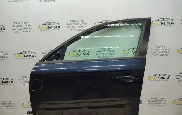 Audi A4 S4 B8 8K Front door