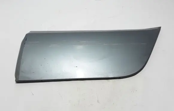 Renault Koleos I Rear door trim (molding) 82877JY00A