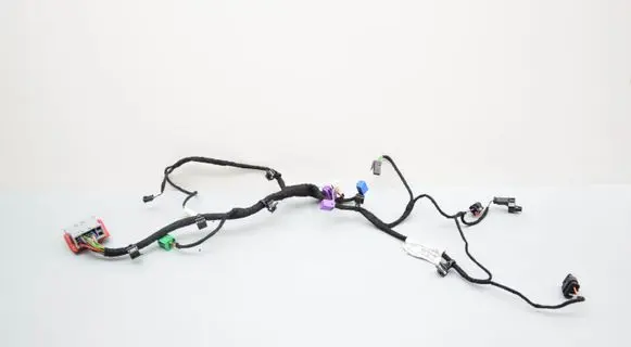 Other wiring loom