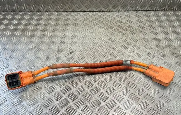 BMW 2 F45 Other wiring loom 6824131