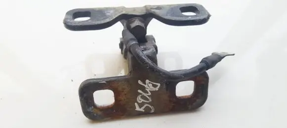 Tailgate/trunk/boot hinge