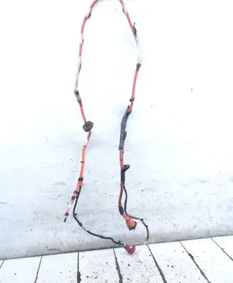 Toyota Prius (XW30) High voltage cable 005550 7173091650
