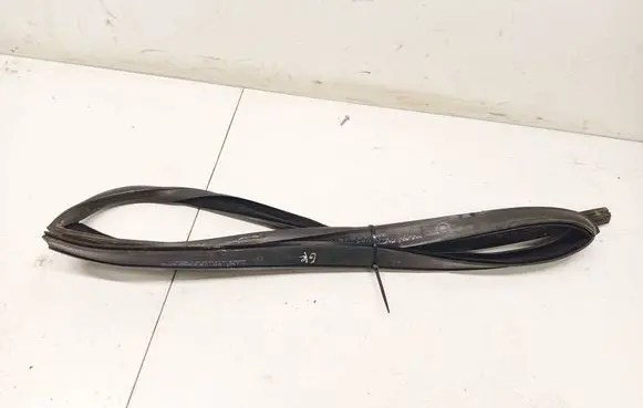 BMW X6 E71 Rubber seal rear door 7310315