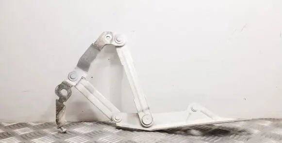 Audi TT TTS Mk2 Engine bonnet/hood hinges 8J0823302H