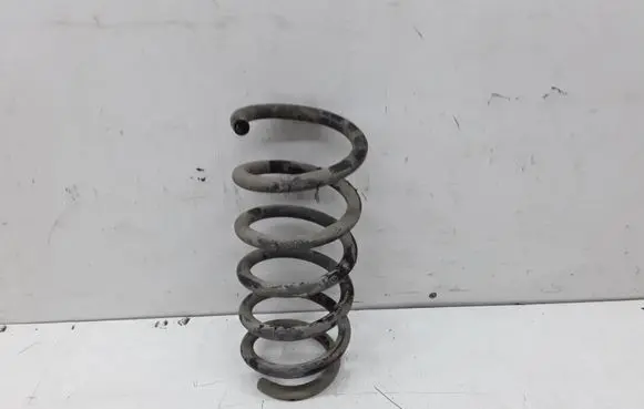 Front coil spring