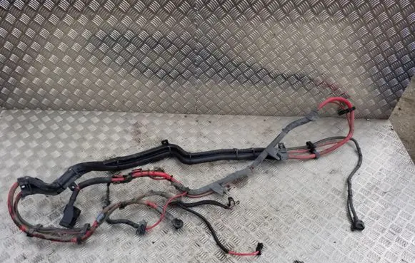 BMW X5 E70 Positive cable (battery) 10299011 6961018