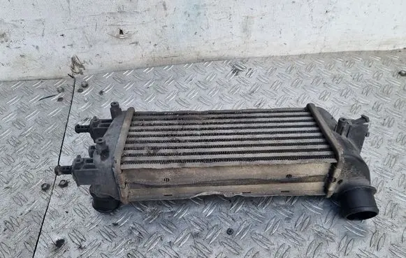 Fiat 500 Intercooler radiator 878350000 C542
