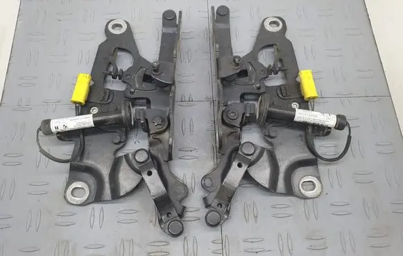 BMW 5 F10 F11 Engine bonnet/hood hinges 49893820 0589P1000095 P28B13