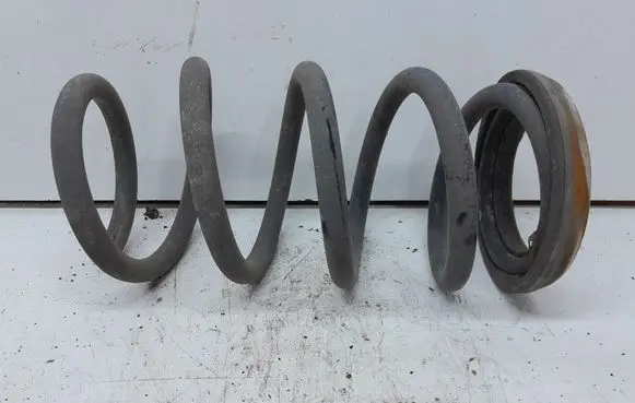 Rear coil spring