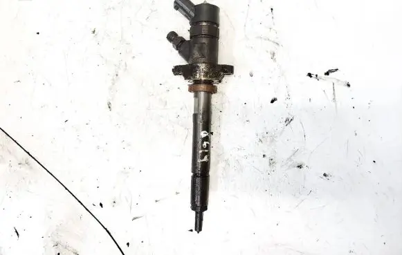Citroen Jumpy Fuel injector 0445110239 606680