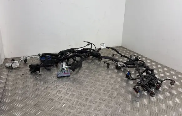 Engine installation wiring loom