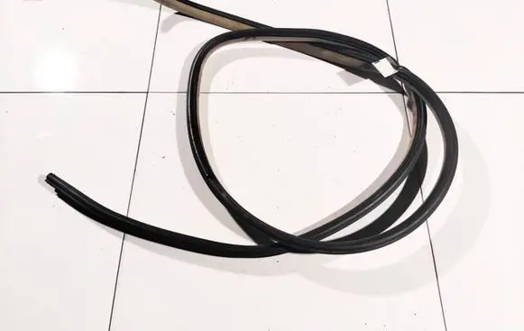 Chrysler 300 - 300C Rubber seal front coupe door 