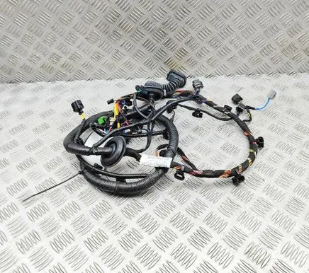 Aston Martin DBX Rear door wiring loom RY8313E785AA