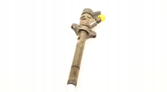 Citroen Xsara Picasso Fuel injector 0445110259