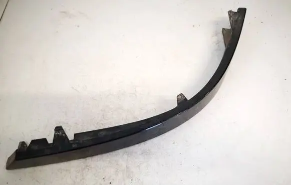 Rear/tail light trim molding