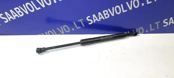 Tailgate/trunk strut/damper