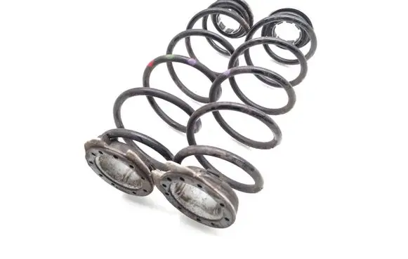 Rear coil spring