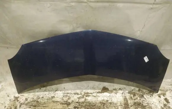 Renault Modus Engine bonnet/hood MELYNAS