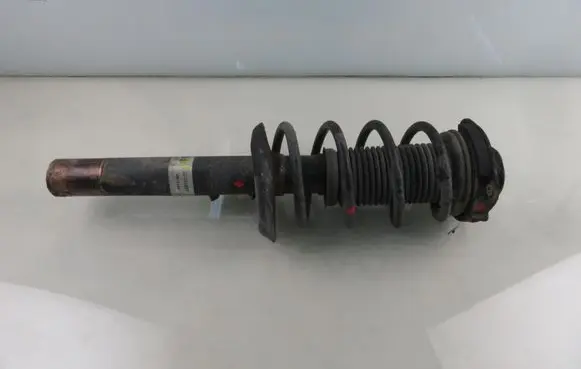 Volkswagen Golf V Front shock absorber with coil spring 22131607