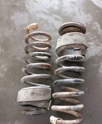 Rear coil spring