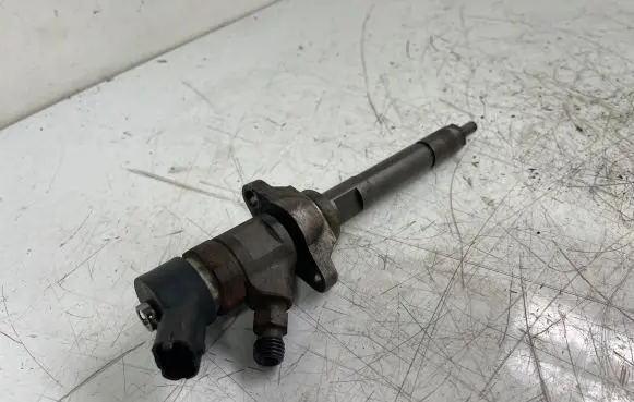 Citroen Berlingo Fuel injector 0445110239 606680