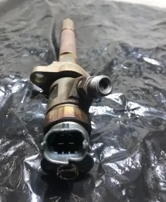 Citroen C4 I Picasso Fuel injector 1445110311 1445110